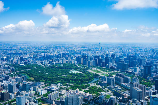 istock Aerial view of central Tokyo 1320155393