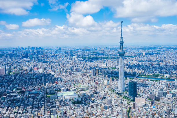 istock Aerial view of central Tokyo 1320155394