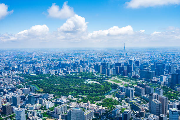 istock Aerial view of central Tokyo 1320155397