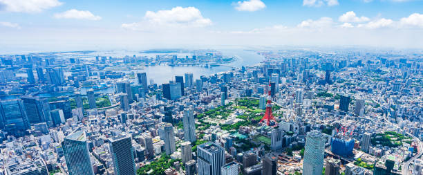 istock Aerial view of central Tokyo 1320155402
