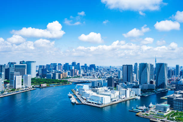 istock Aerial view of central Tokyo 1320155405