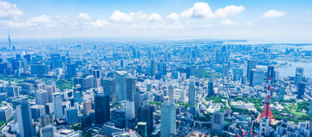 istock Aerial view of central Tokyo 1320155408