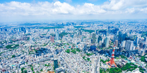 istock Aerial view of central Tokyo 1320155414