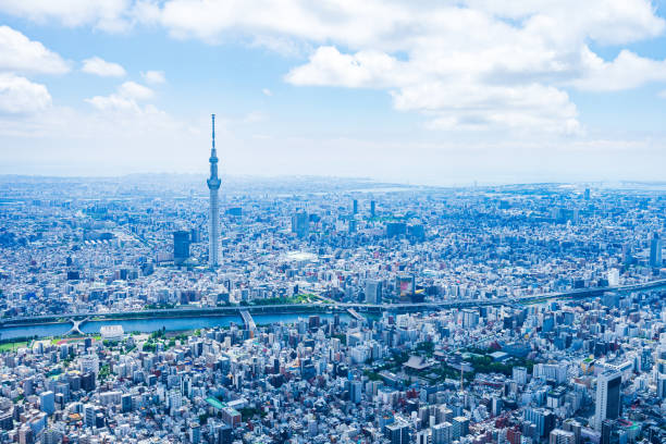 istock Aerial view of central Tokyo 1320155419