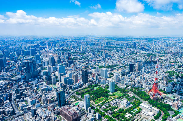 istock Aerial view of central Tokyo 1320155420