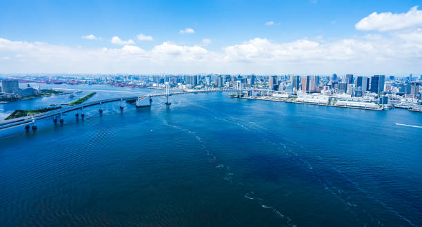 istock Aerial view of central Tokyo 1320155423