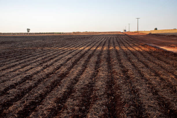 champ labouré prêt pour la plantation - ground preparing photos et images de collection