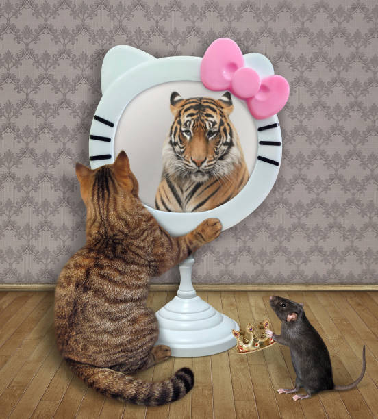 istock Cat sits near funny round mirror 3 1320159136