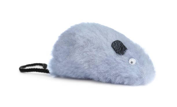 istock Modern toy for pet isolated on white 1320159592