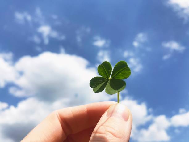 trevo de quatro folhas na mão contra a luz solar e o céu azul - four leaf clover fotos - fotografias e filmes do acervo