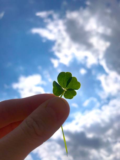 istock Four leaf clover in the hand against sunlight and blue sky 1320160457