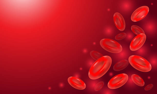blood cells red erythrocytes vector art illustration