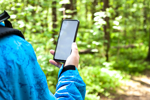 A man in the spring with a smartphone in the forest. Remote work concept. Search for the area. Communication for work.