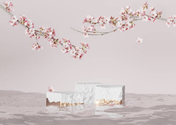 istock 3D background, white rock podium, stone display set in water. Sakura pink flower branch, cherry blossom. Cosmetics, beauty product promotion step pedestal with gold. Abstract minimal banner 3D render 1320166930