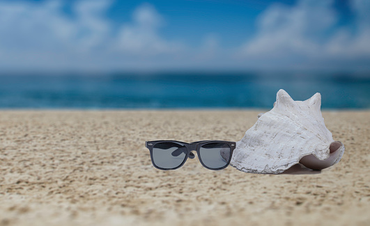 summer sunglasses and sea shell composition with copy space and beach background