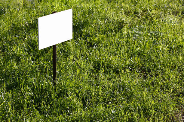 istock blank white sign mockup on green lawn background - close-up with selective focus 1320167187