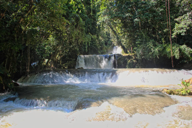 ジャマイカのダンズ川の滝 - オーチョリオス 写真 ストックフォトと画像