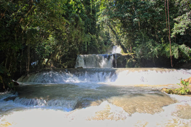 The Dunns's River Falls in Jamaica The Dunns's River Falls in Jamaica in the Dunn's River Falls Park dunns river falls stock pictures, royalty-free photos & images