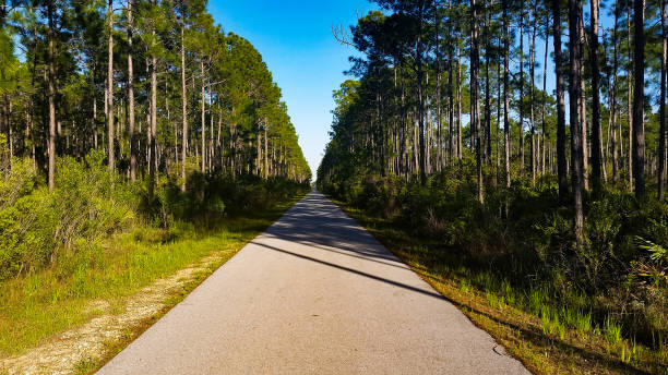 istock A long path to Adventure awaits you in Florida 1320171868