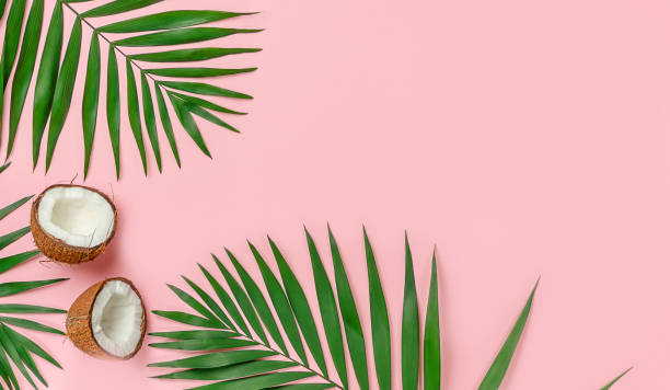 istock Two coconut halves with palm leaves 1320173555