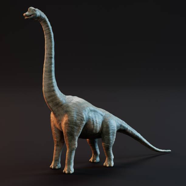 istock Realistic 3D Render of Brachiosaurus Dinosaur 1320177380