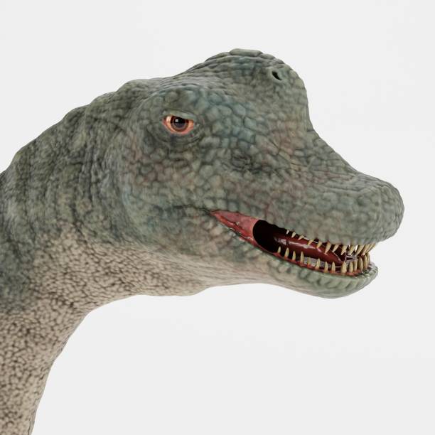 istock Realistic 3D Render of Brachiosaurus Dinosaur 1320177386