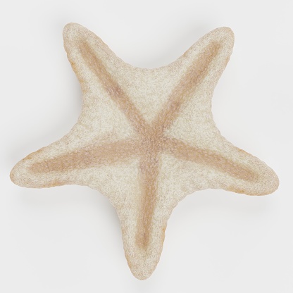 Realistic 3D Render of Chocolate Chip Starfish