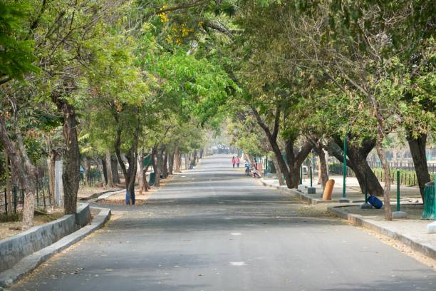 istock Empty road covered with green trees in both sides. Long road with no people. 1320180708