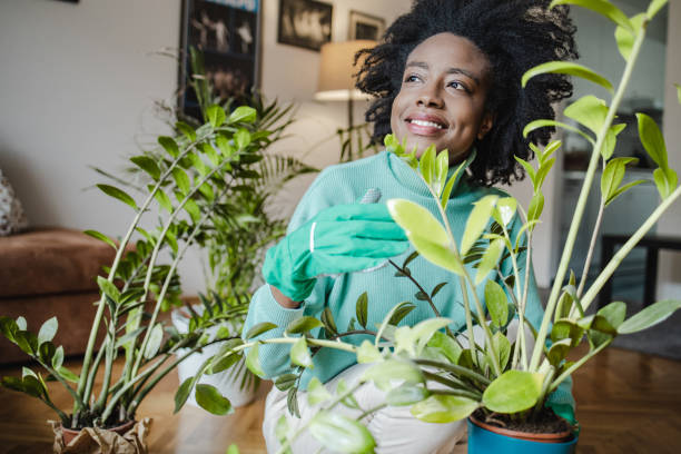 istock Taking care of home plants 1320180896