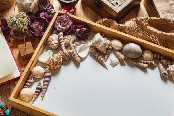 istock Wooden tray with seashells and dried roses 1320184101