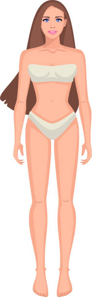 Diagram of the male and female body A paper doll of a beautiful young woman with long dark hair and blue eyes, ready to cut and play. big fat lips stock illustrations