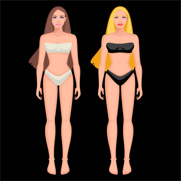 Diagram of the male and female body Two girls in full height. Blonde and brunette big fat lips stock illustrations