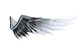 Metal silver angel wing isolated on white background with clipping path