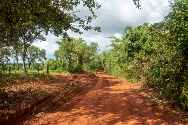 istock Dirt ground road crossing farm 1320188046