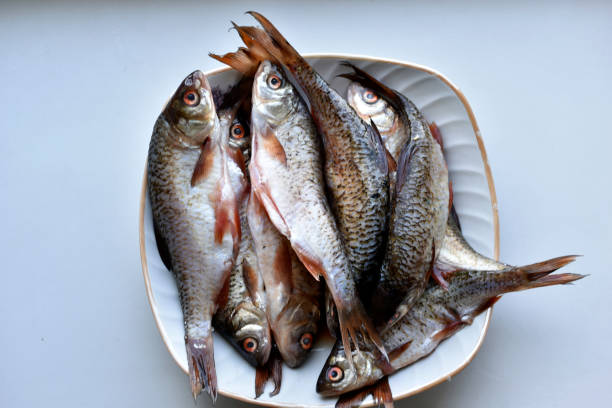 istock Peeled fresh river fish in a plate in the kitchen 1320188928
