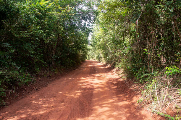 istock Dirt ground road crossing farm 1320189191
