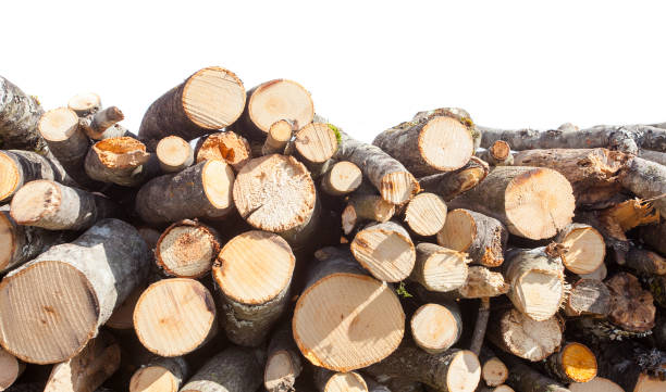 istock stack of wood for fire isolated on white background 1320189255