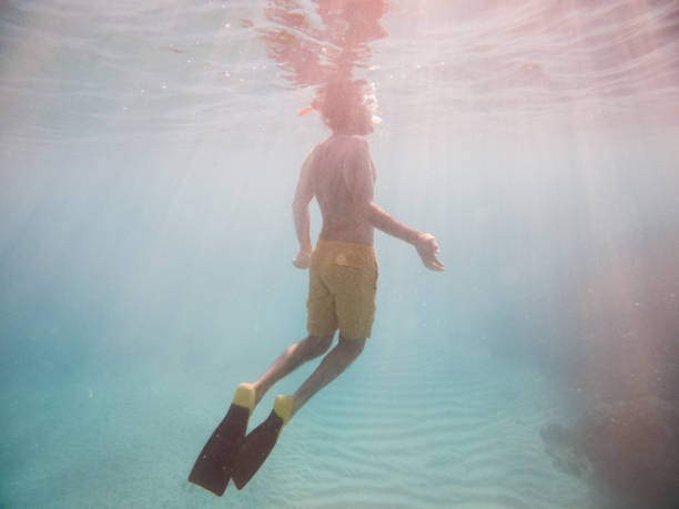 istock Man dives in tropical sea, underwater shot 1320189536