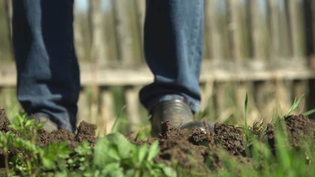 Male feet in short rubber boots dig garden bed on a household plot