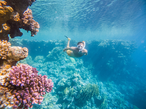 El hombre se sumerge en el mar tropical, tiro bajo el agua photo
