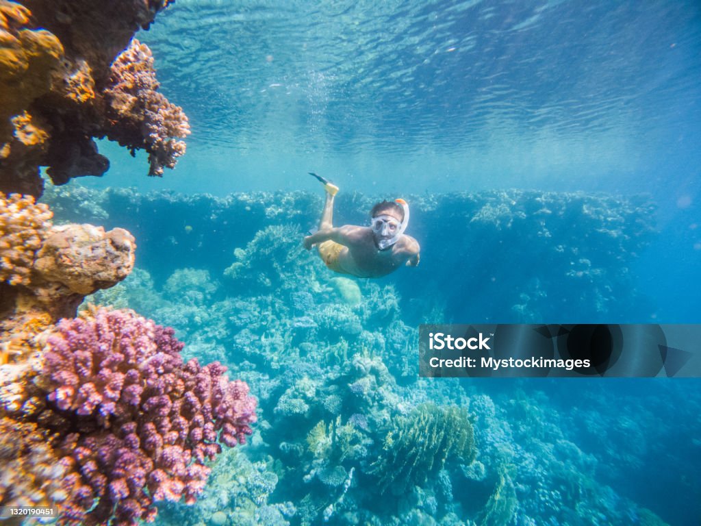 Man dives in tropical sea, underwater shot He explores the reef around the atoll in the Maldives, people on vacations, he adventures underwater Snorkeling Stock Photo