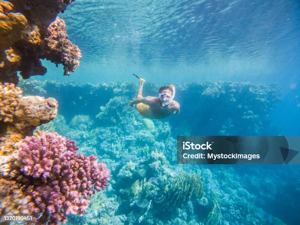 Man Dives In Tropical Sea Underwater Shot Stock Photo - Download Image Now - Snorkeling, Snorkel, Underwater Diving