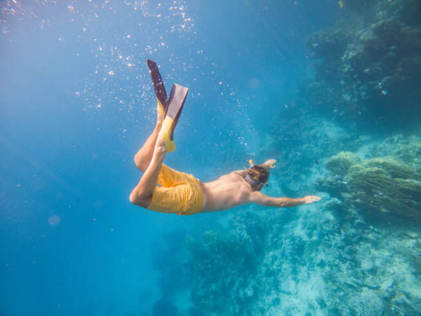 istock Man dives in tropical sea, underwater shot 1320190815