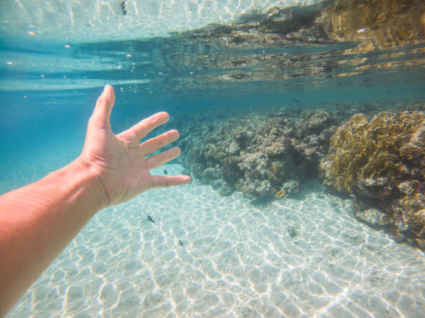 POV of person stretching out hand underwater