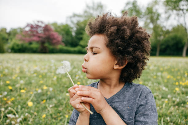 istock Boy blowing seeds off a dandelion, close up, side view 1320194545