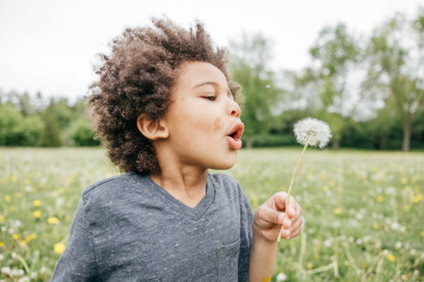 istock Boy blowing seeds off dandelion, close up, side view 1320194546