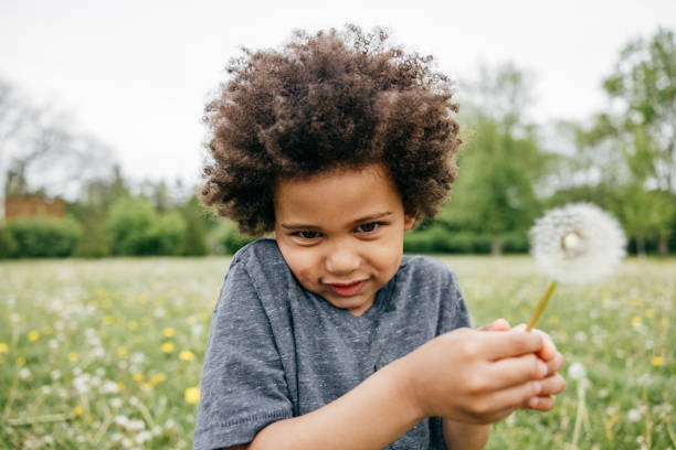 istock Boy blowing seeds off a dandelion, close up, side view 1320194547
