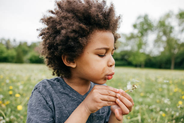 istock Boy blowing seeds off a dandelion, close up, side view 1320194548