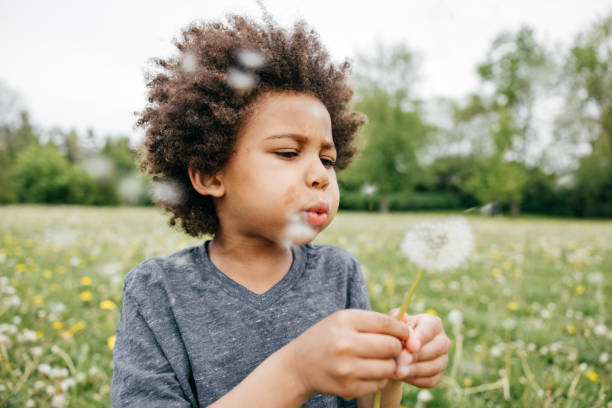 istock Boy blowing seeds off a dandelion, close up, side view 1320194549