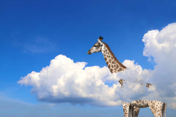 istock Cute giraffe in the sky 1320196126